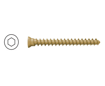 4.0mm Diameter Cancellous Bone Screw (Low Cap) (Full Tooth)
