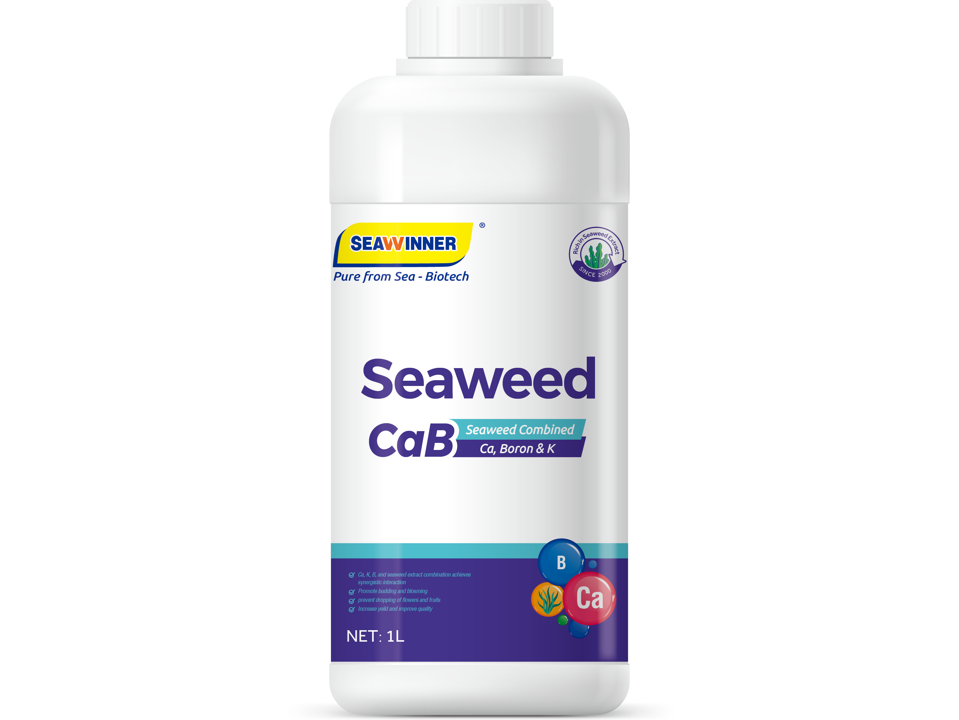 SEAWEED  CABORON