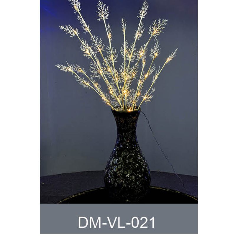 DM-VL-021
