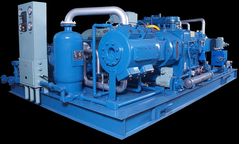 Natural Gas Piston Compressors Chinese Supplier Factory Price Inlet 5Bar Discharge 15Bar Flow 1.7Nm3/min CNG Industrial Compressor
