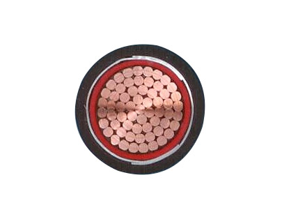 1KV XLPE Insulated Single Core Cable