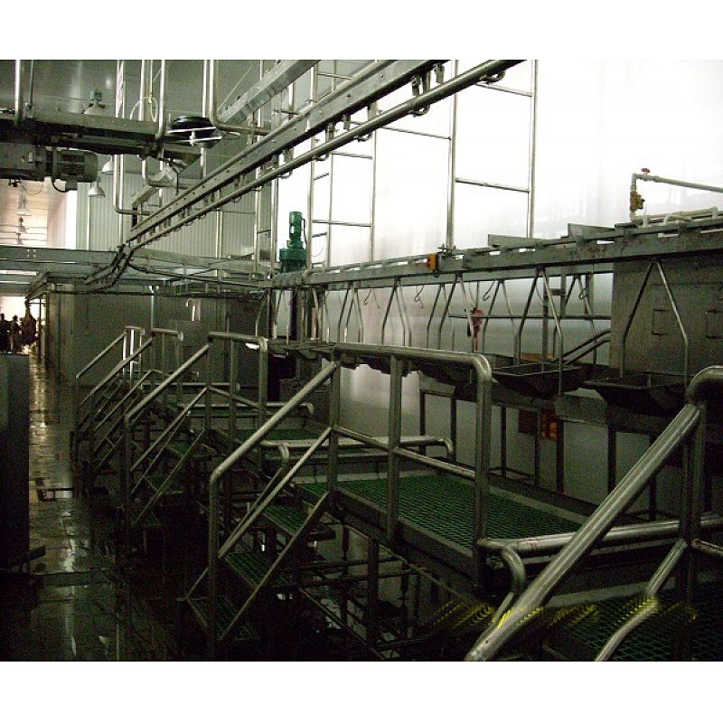 Abattoir Equipment- Sheep Inspection Conveyor
