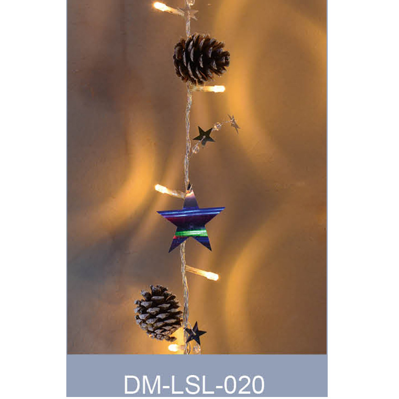 DM-LSL-020