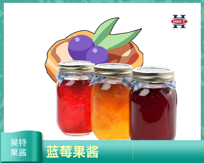 Haote Fruit Jam-Blueberry Jam