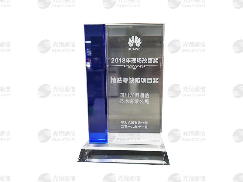 Huawei Lean Zero Defect Project Award