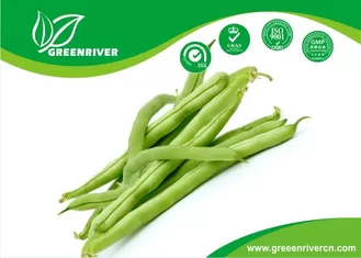 Pole type Black / Green Snap bean seeds Purity 95 % / Neatness 98%