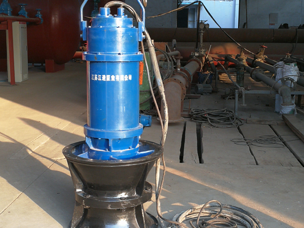 QSZ潜水轴流泵/QSZ submersible axial flow pump