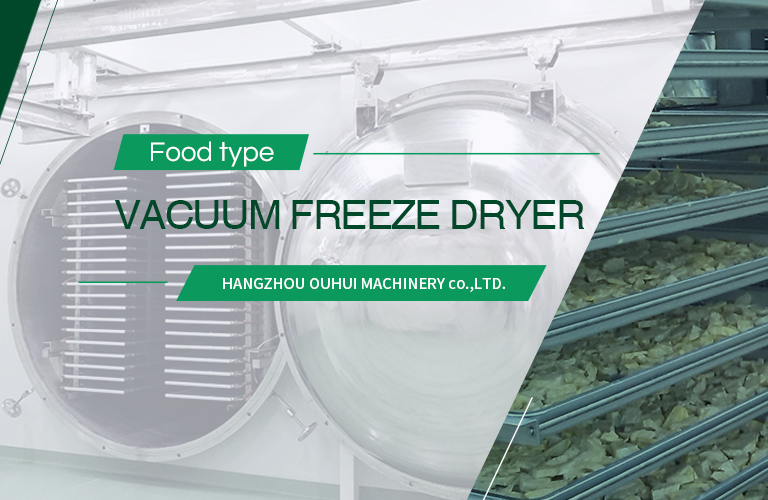 Vacuum freeze dryer