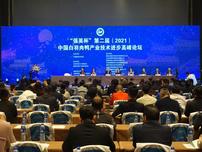  第二届中国白羽肉鸭产业技术进步高峰论坛发布强英白羽肉鸭育种成果