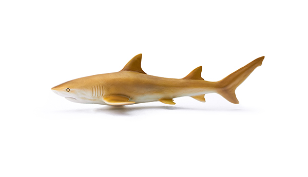 海洋动物玩具-柠檬鲨