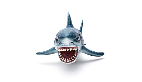 海洋动物玩具-大白鲨