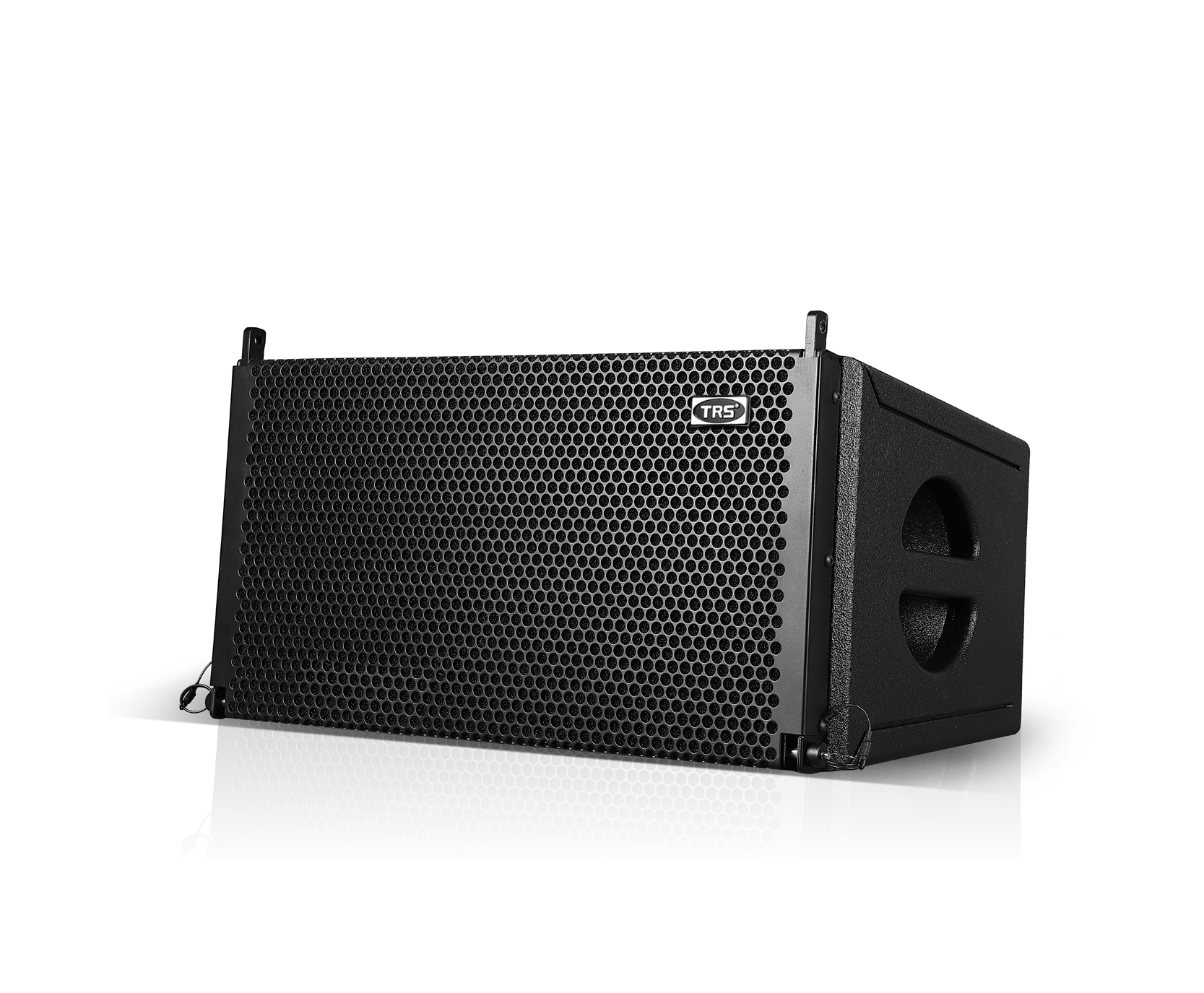  G-10  single 10-inch linear array speaker