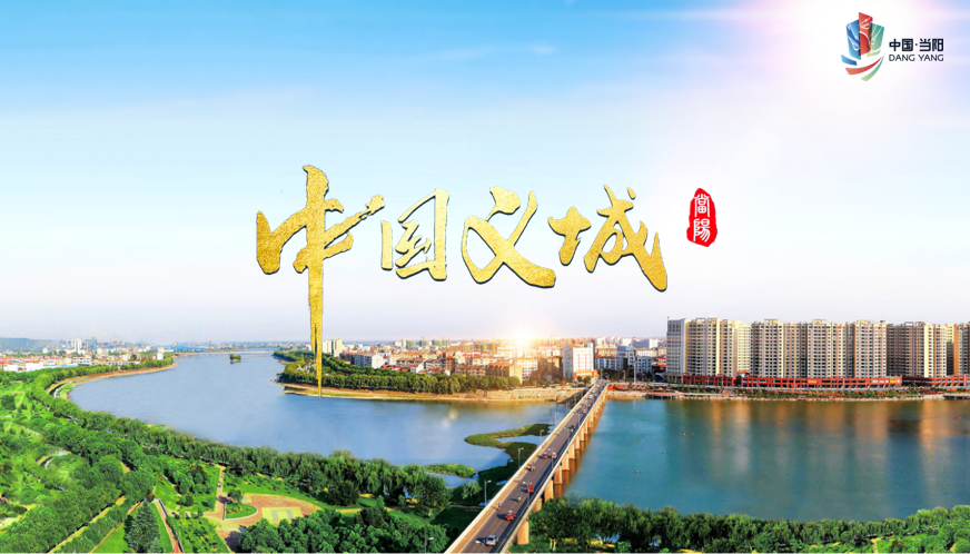 湖北省当阳市招商局领导到访中国化学与物理电源行业协会 