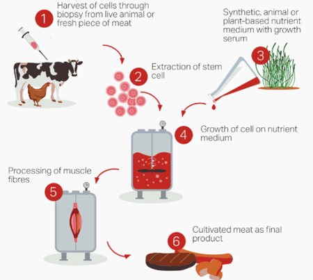 【COSMOlogic应用实例】达索BLOG分享：食品科学:人造肉和其他种类的肉