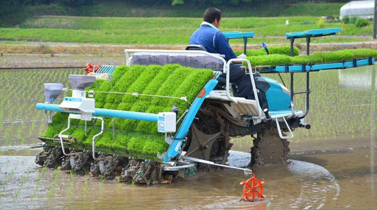 The rice transplanter judges the degree of soil softness and hardness