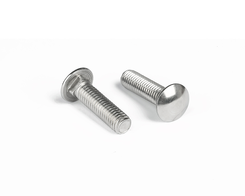 (SS304) Carriage  Bolts
