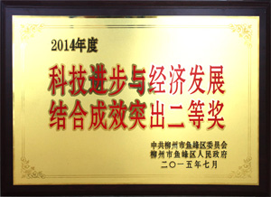 Progress Award