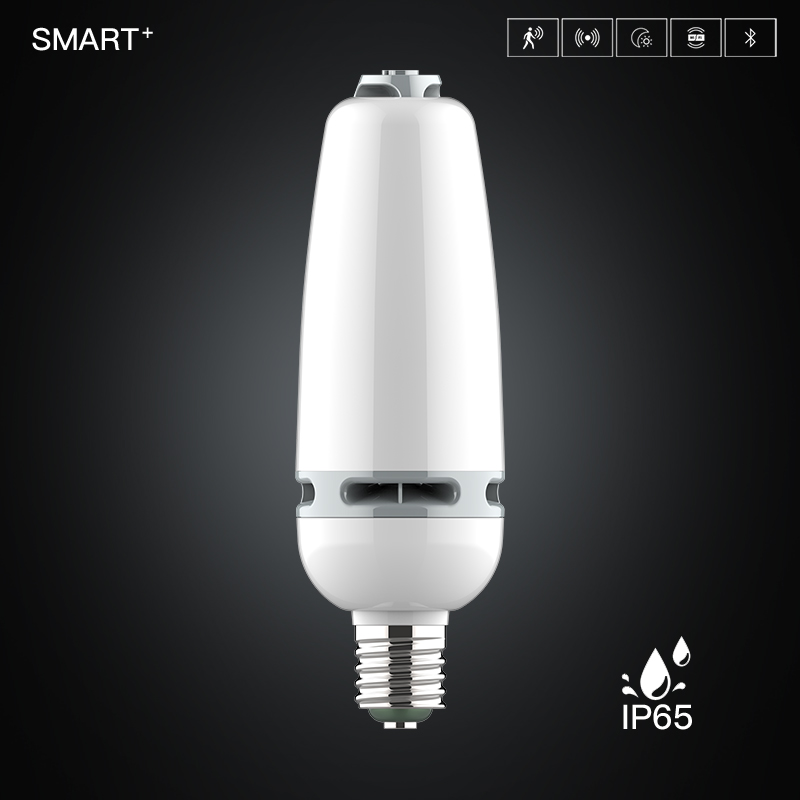 WP1 Smart Waterproof Bulb