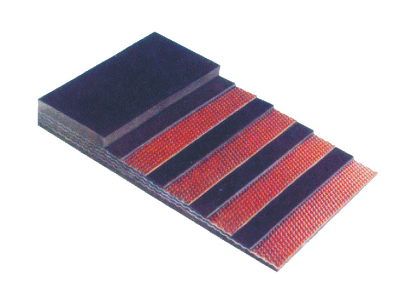 Polyester conveyor belt