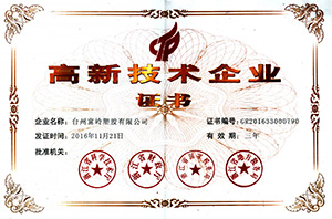 2016 High-tech Certificate