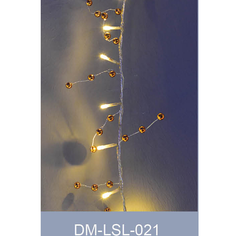 DM-LSL-021