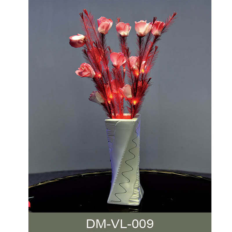 DM-VL-009