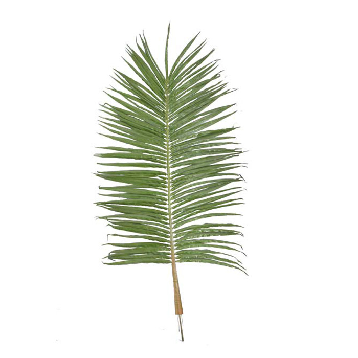 250CM椰子树单叶连叶比