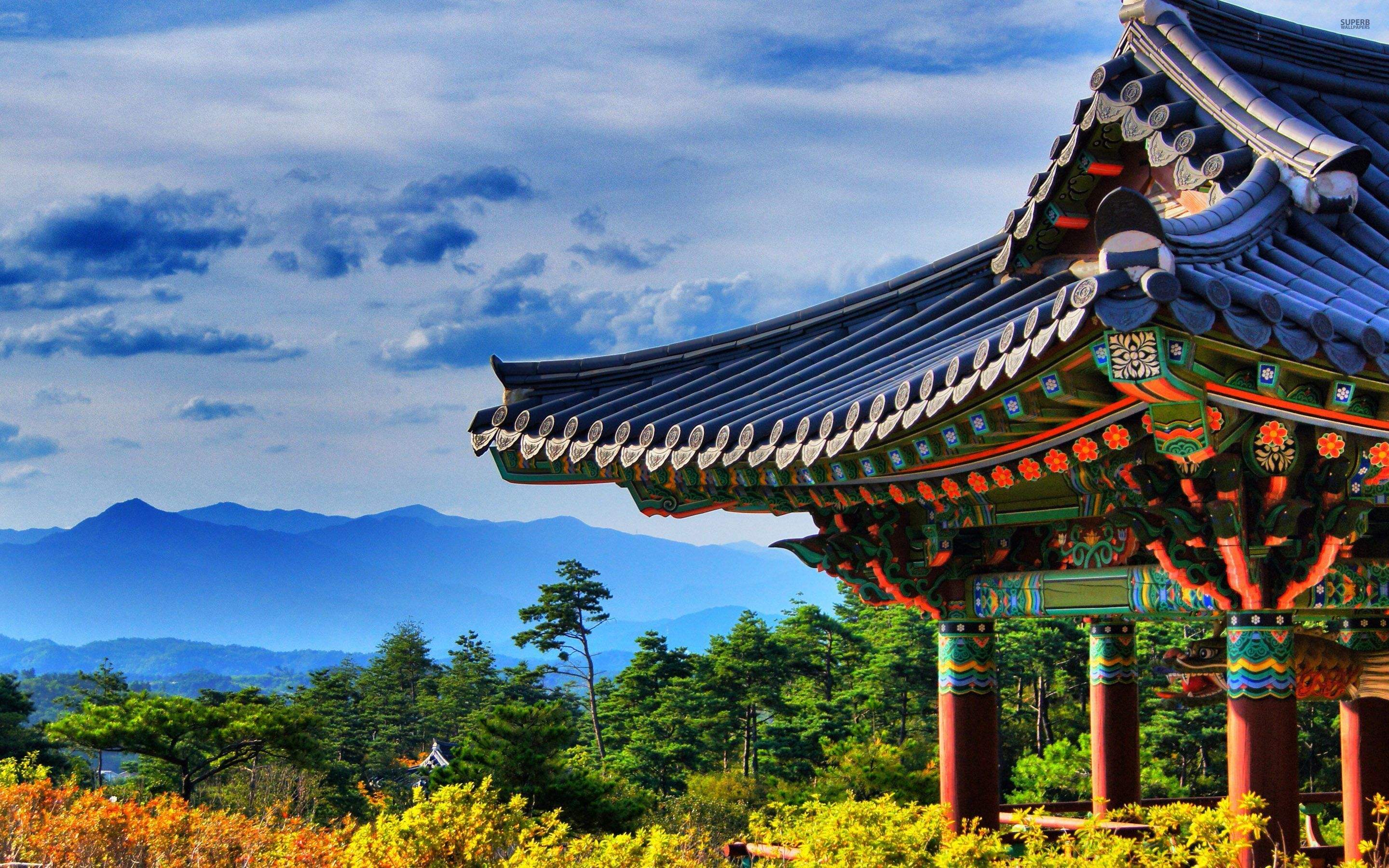 韩国签证自由行签证 个人旅游加急