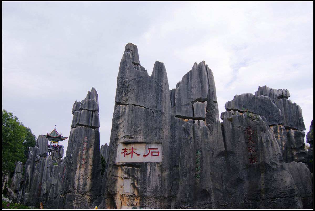 The Stone Forest Geological Park
