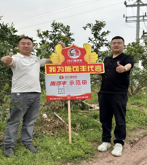 施可丰柑橘全营养套餐肥——四川省成都市新都区柑橘增产效果回访