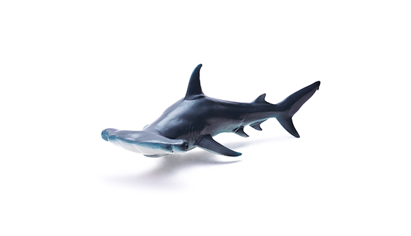 海洋动物玩具-锤头鲨