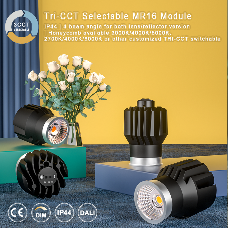 15 Watt Tri-CCT COB Module Light