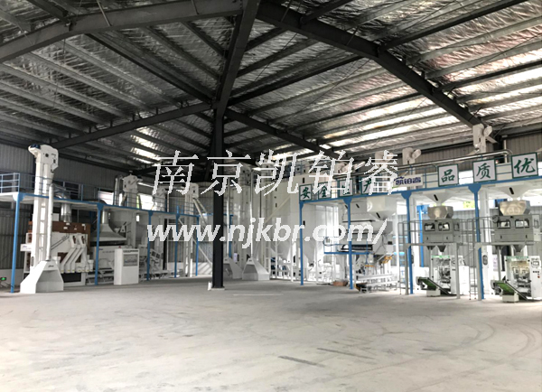 Rice seed processing line