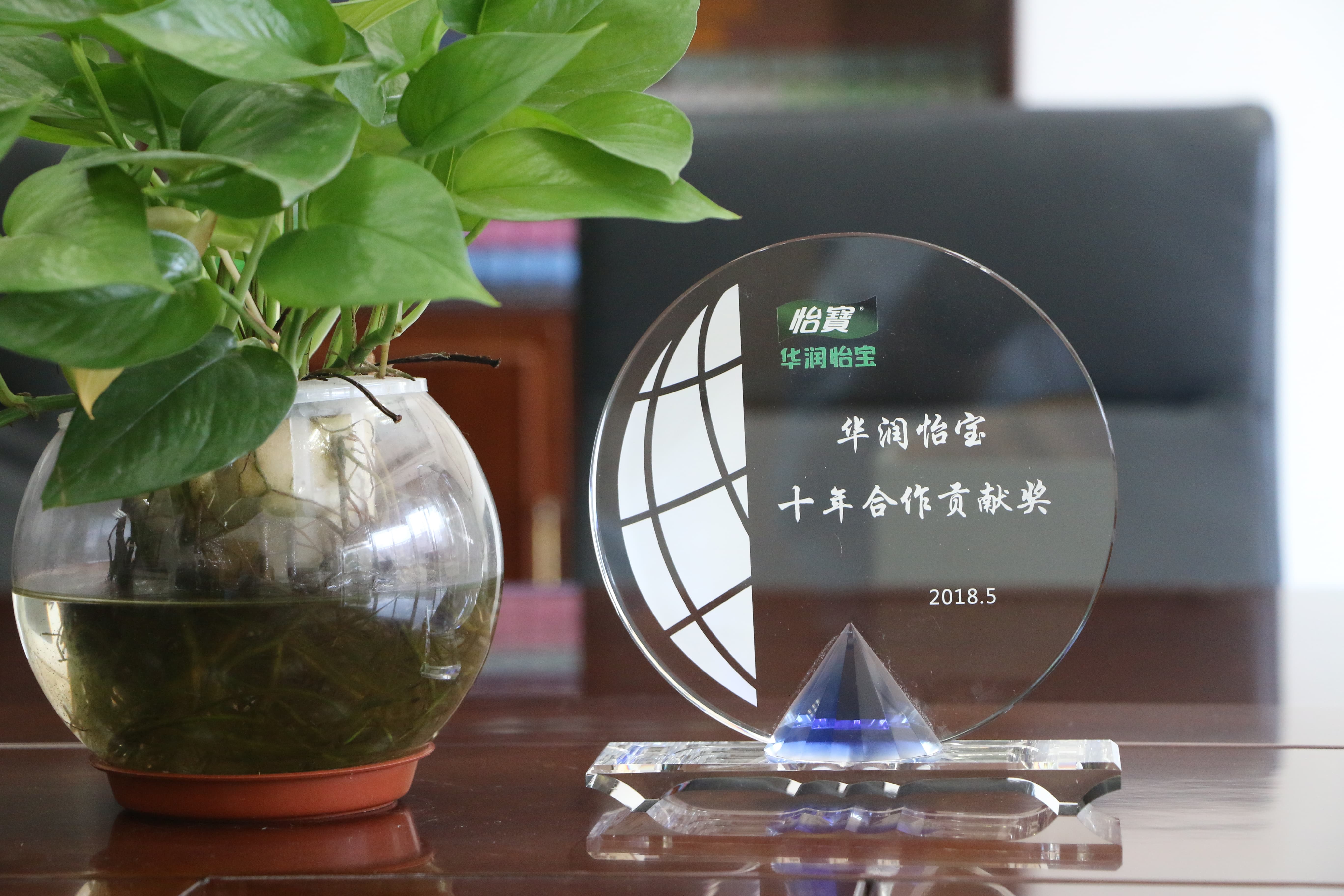 (2018 China Resources Ebenezer Ten-Year Partnership Contribution Award Golden Fortune)