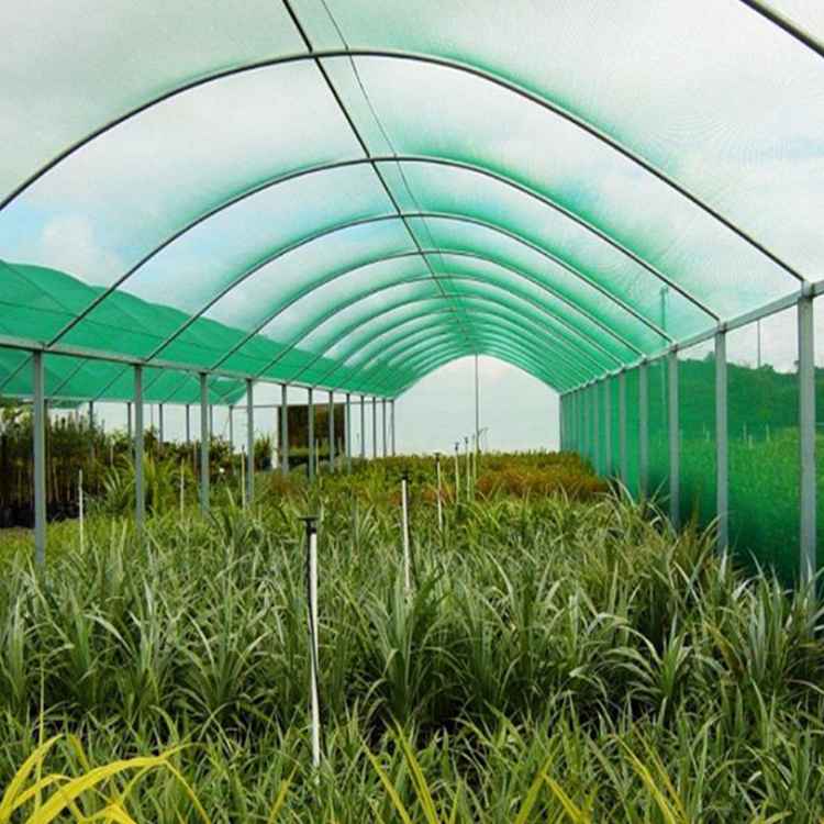 Overview of greenhouse sun shade nets