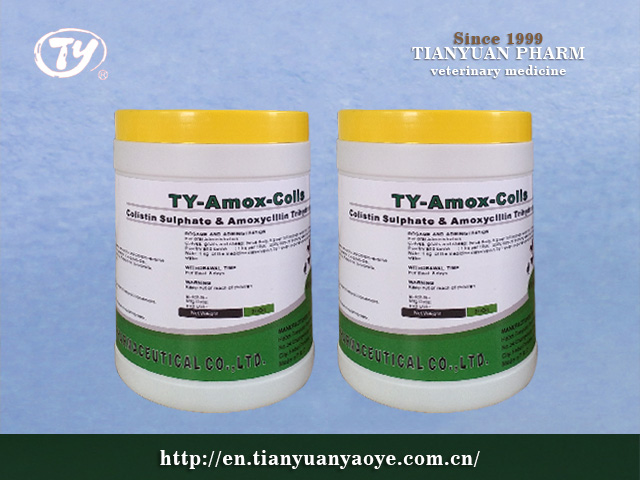 Colistin Sulphate & Amoxycillin Trihydrate WSP