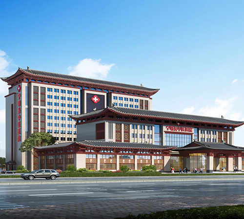 广西宁明县中医医院边合院区项目全过程工程咨询服务