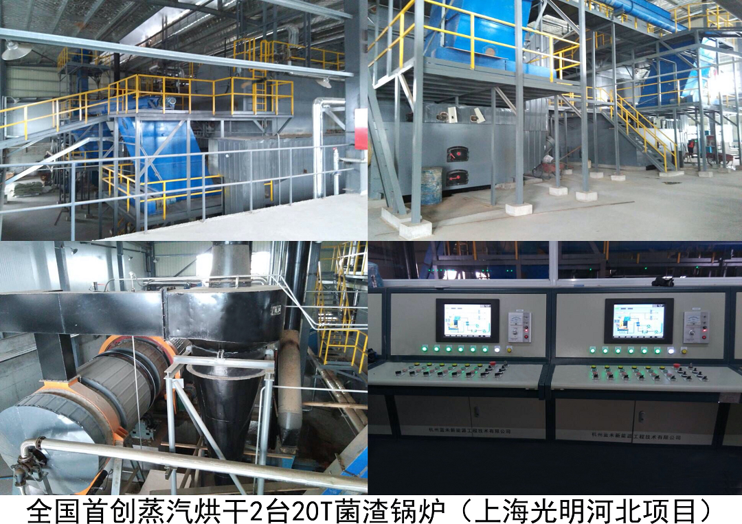 全国首创蒸汽烘干2台20T菌渣锅炉（上海光明河北项目）