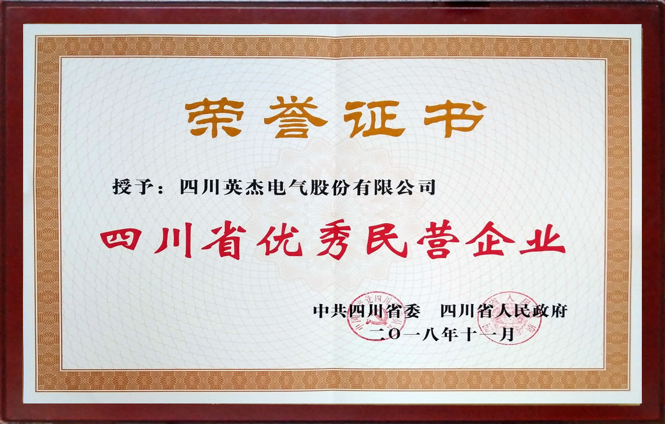 Outstanding Private Enterprise in Sichuan Province