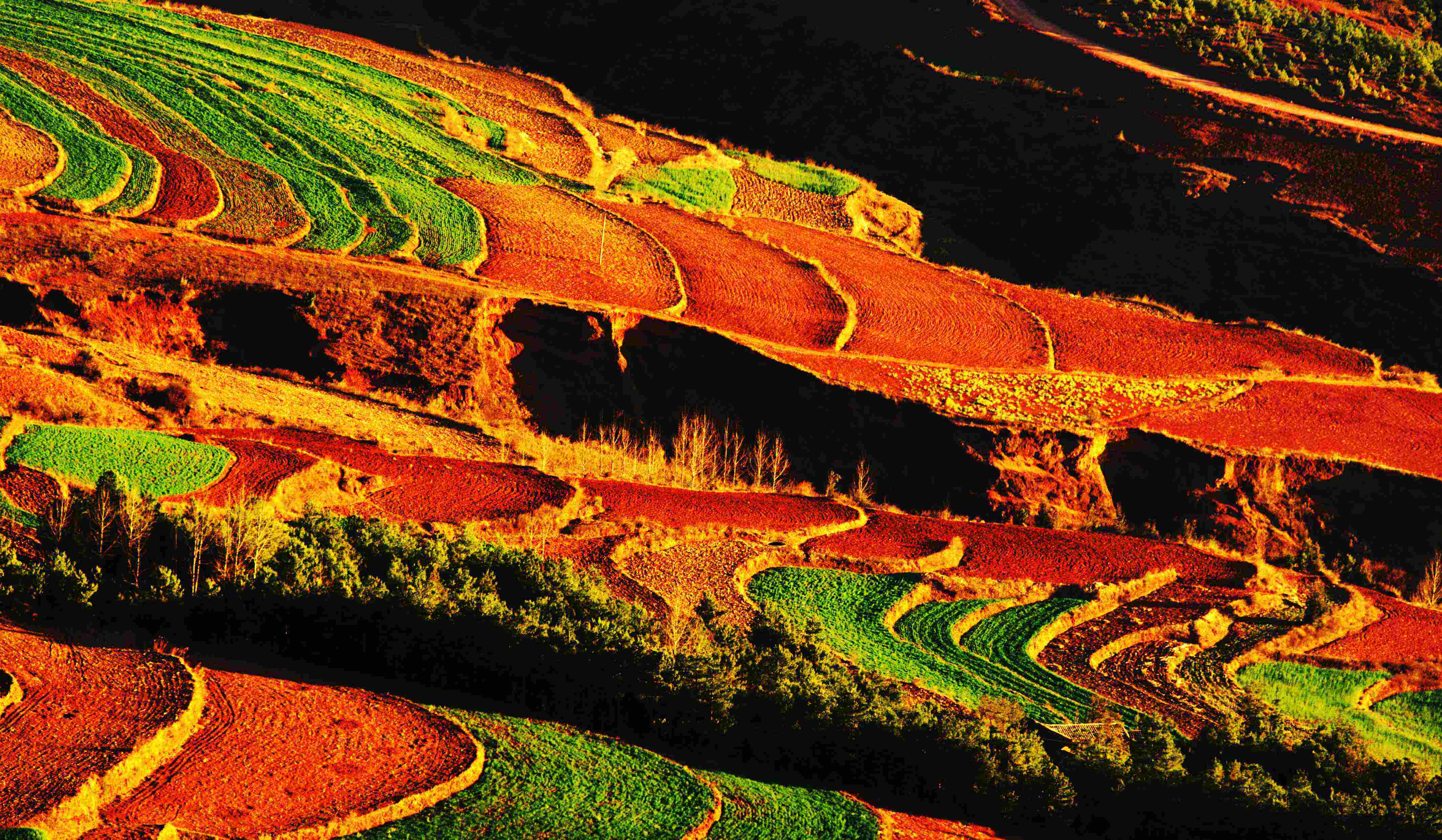 The Dongchuan Red Land