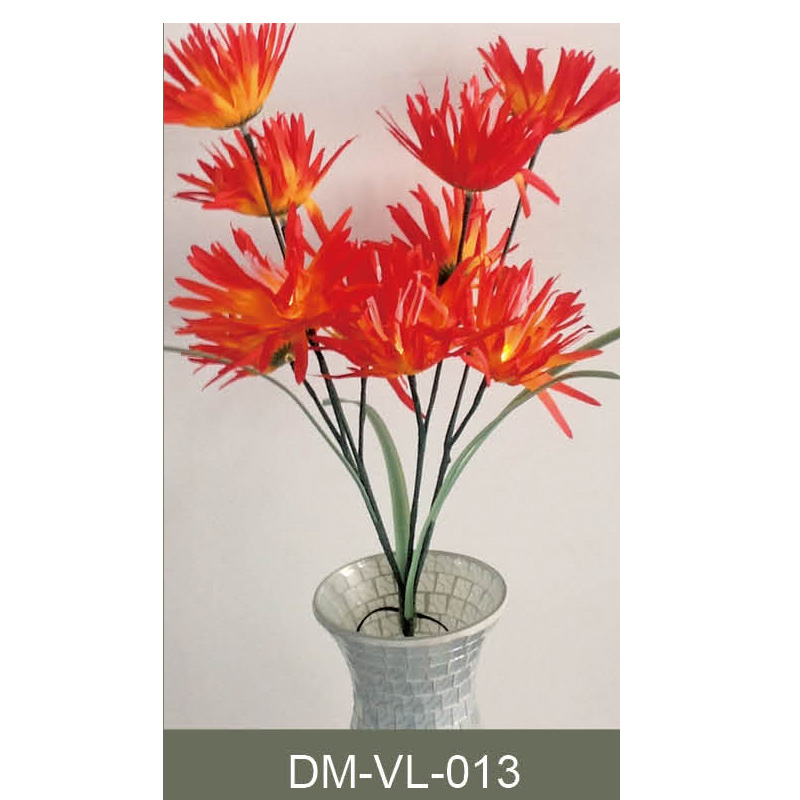 DM-VL-013