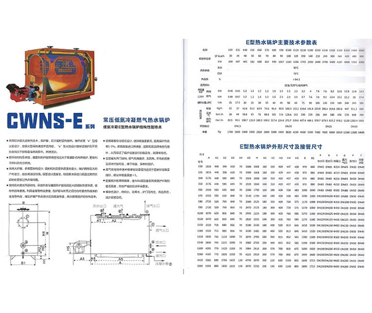 CWNS-E系列常压低氮冷凝热水锅炉