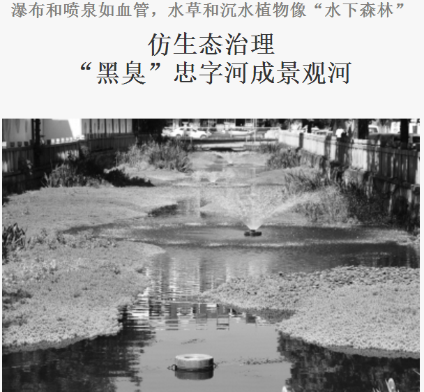 南京日报报道——瀑布和喷泉如血管，水草和沉水植物像“水下森林”，仿生态治理“黑臭”忠字河成景观河