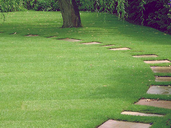 Artificial leisure grass
