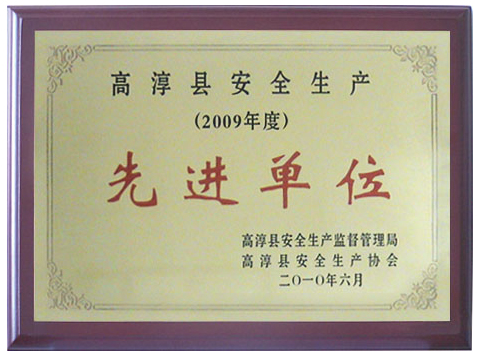 2009年度高淳县安全生产先进单位