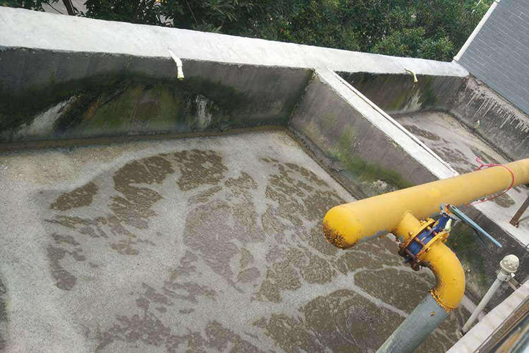 【食品厂废水】叠螺式污泥脱水机在食品厂废水污泥处理中的应用