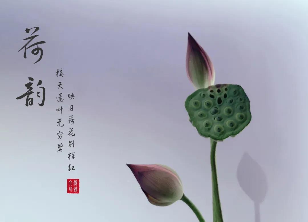 中国茶道与美学（七）