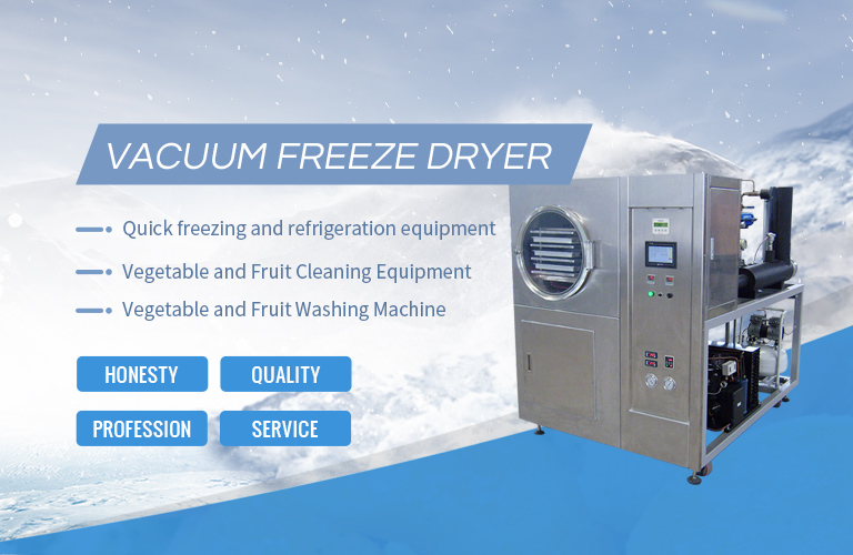 vacuum freeze dryer