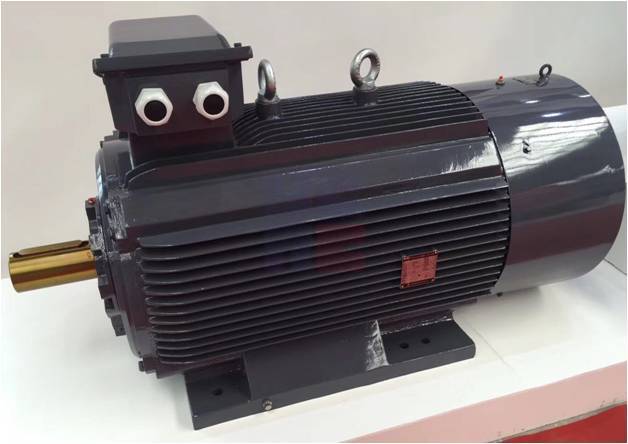 YZP2 Series of Variable Frequency Speed Regulating Three-phase Asynchronous Motor for Crane and Metallurgical Application (Frame Size: 112-355)