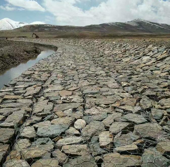 西藏林芝伊洛瓦底河道治理工程